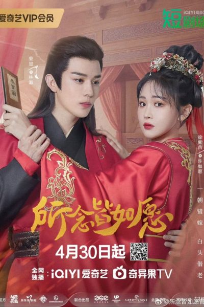 May All Your Wishes Come True