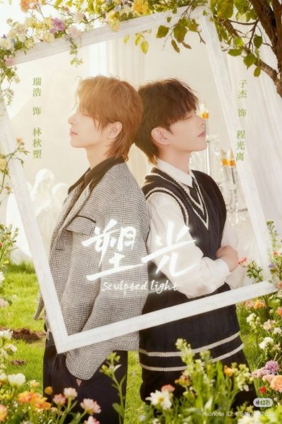 Sculpted Light Poster